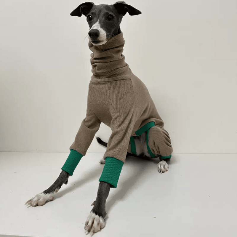 A HUNTING DOG® Cashmere Tripe Suit - KIKOPALS