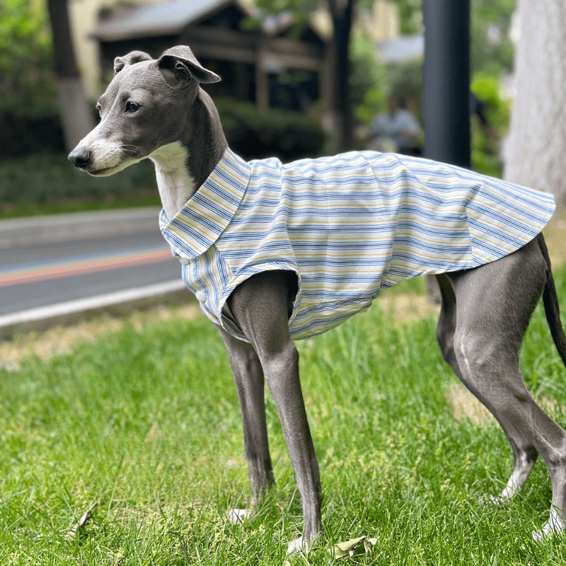 A HUNTING DOG® Sleeveless Dog Shirt - KIKOPALS