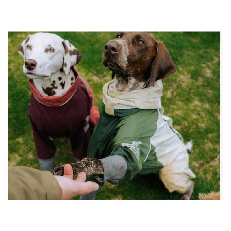 BlackDoggy® Waterproof Dog Raincoat