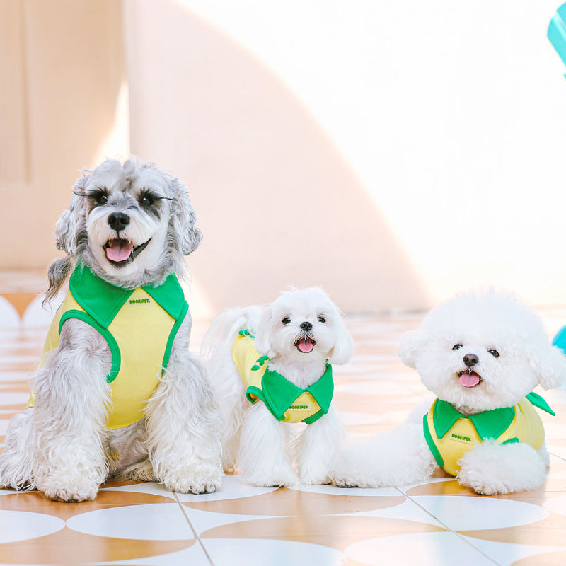 MookiPet® Yellow Lightweight Vest for Small Dogs & Cats