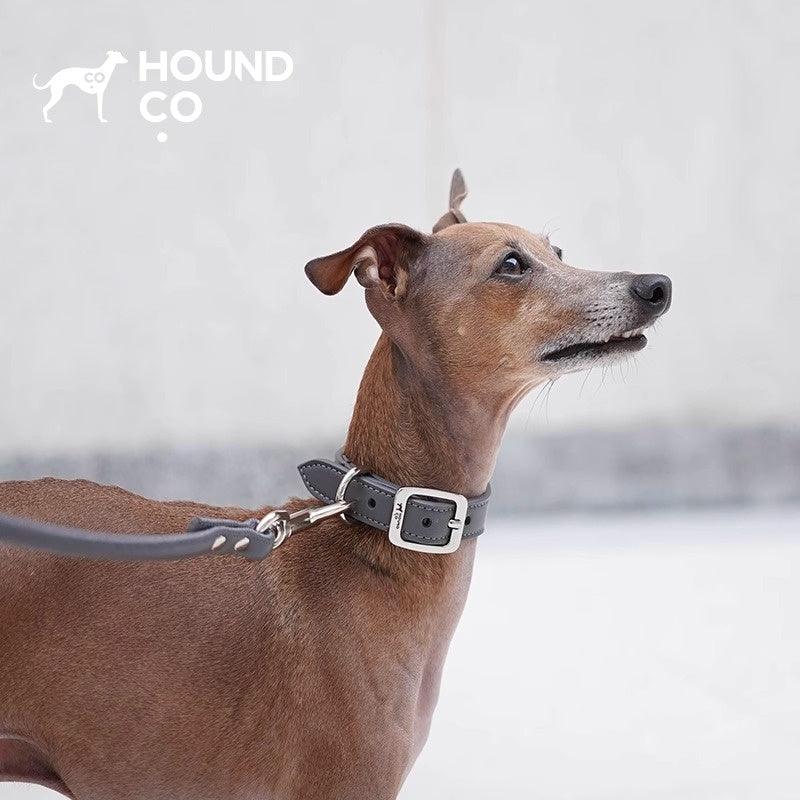 Hound Co.® Vegan Series Pet Collar & Leash Set - KIKOPALS