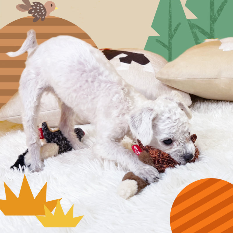 GiGwi® Animal Series Squeaky Plush Dog Toy