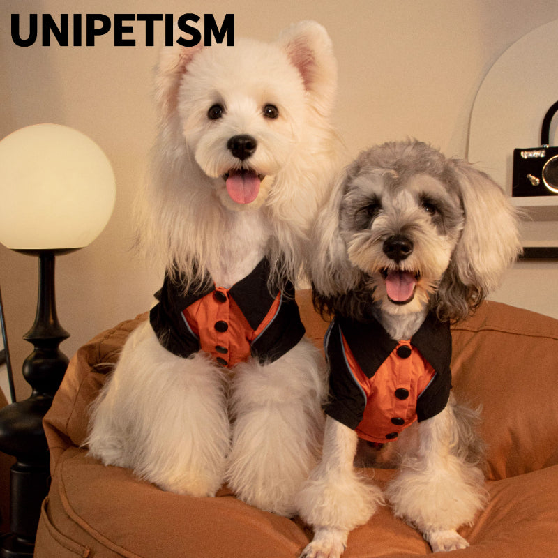 UNIPETISM® Sunset Orange Functional Jacket for Cats & Small Dogs