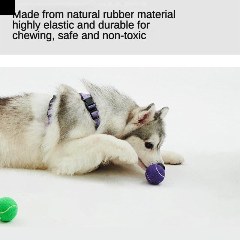BXXM!PET® Bounce Squeak Chew Dog Toy - KIKOPALS