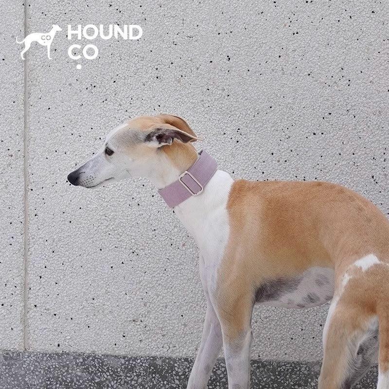 Hound Co.® Anti-Escape Dog Collar - KIKOPALS