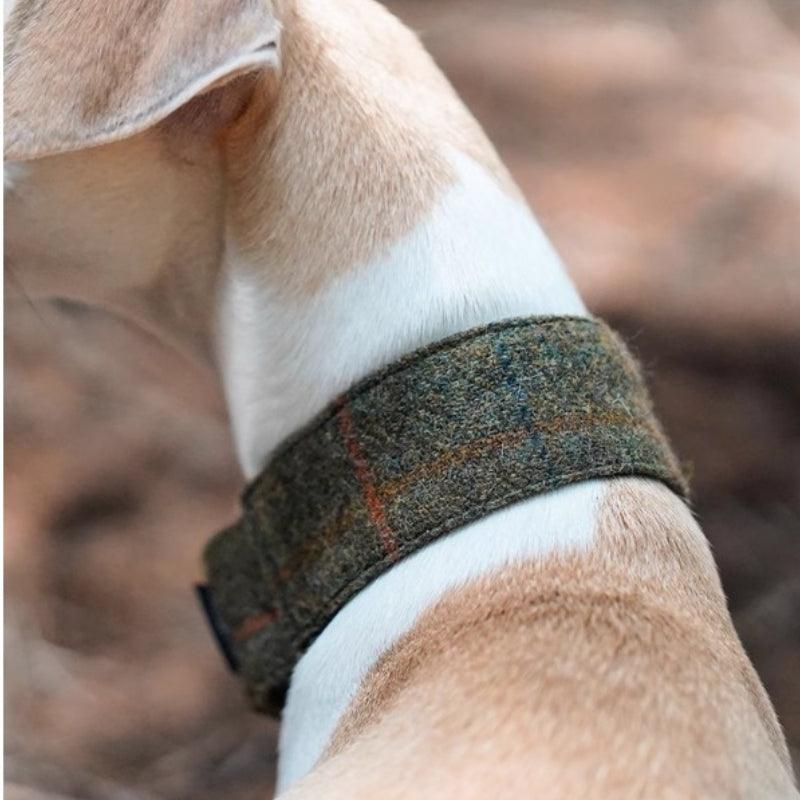 Hound Co.® Winter Tweed Escape-Proof Pet Collar - KIKOPALS