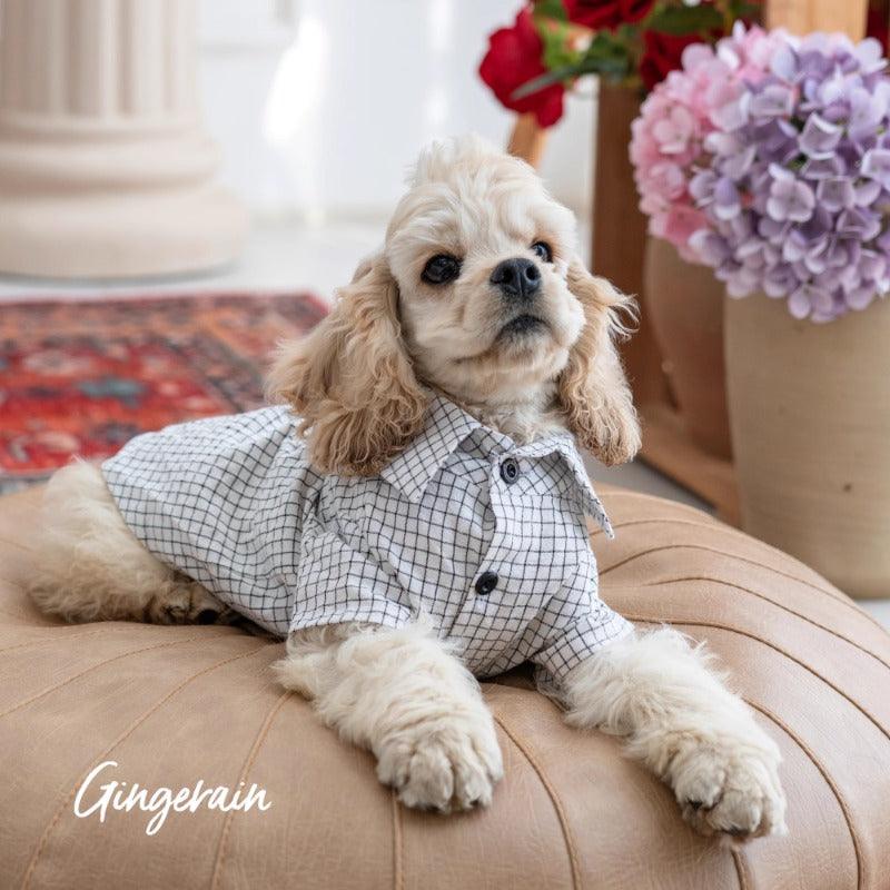 GINGERAIN® Cotton Plaid Pet Shirt - KIKOPALS