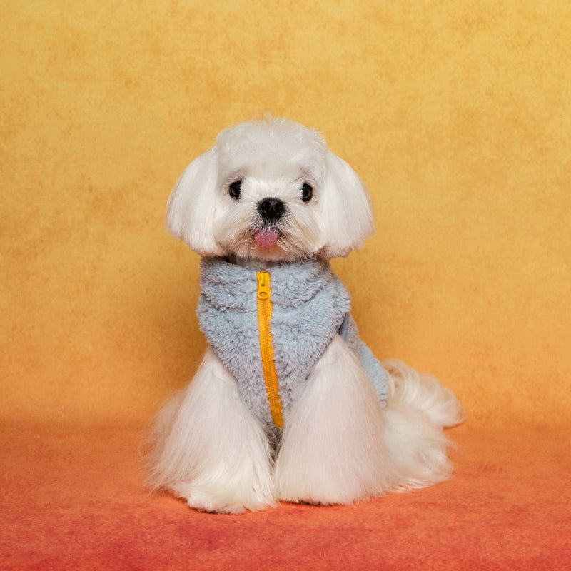 PalettePet® Cozy Lion Embroidery Jacket for Dogs – Light Blue