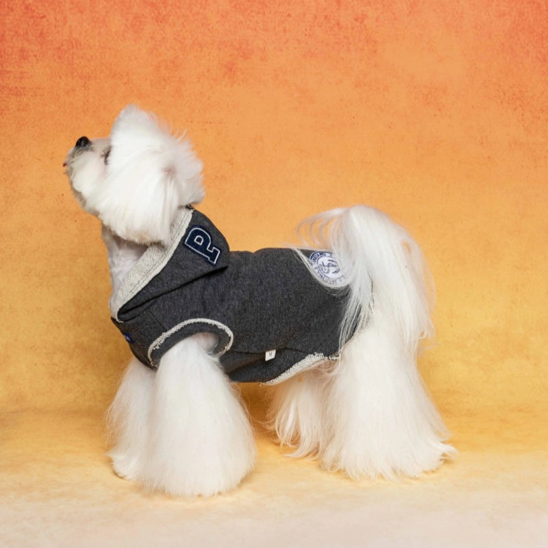 PalettePet® Cloud Pattern Hoodie for Dogs
