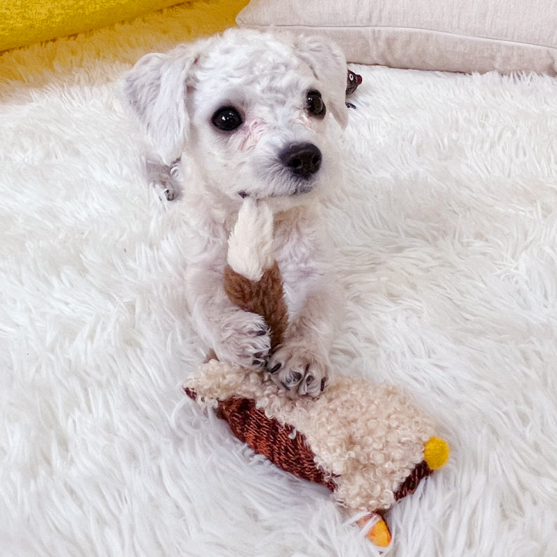 GiGwi® Animal Series Squeaky Plush Dog Toy