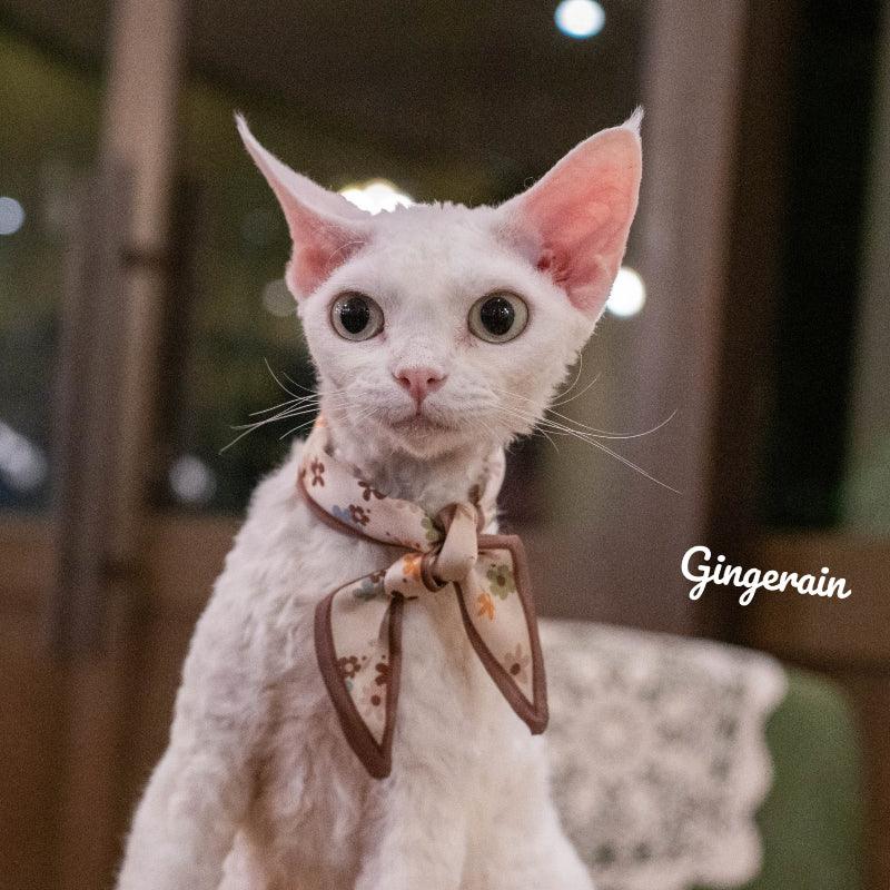 GINGERAIN® Pet Scarf - KIKOPALS