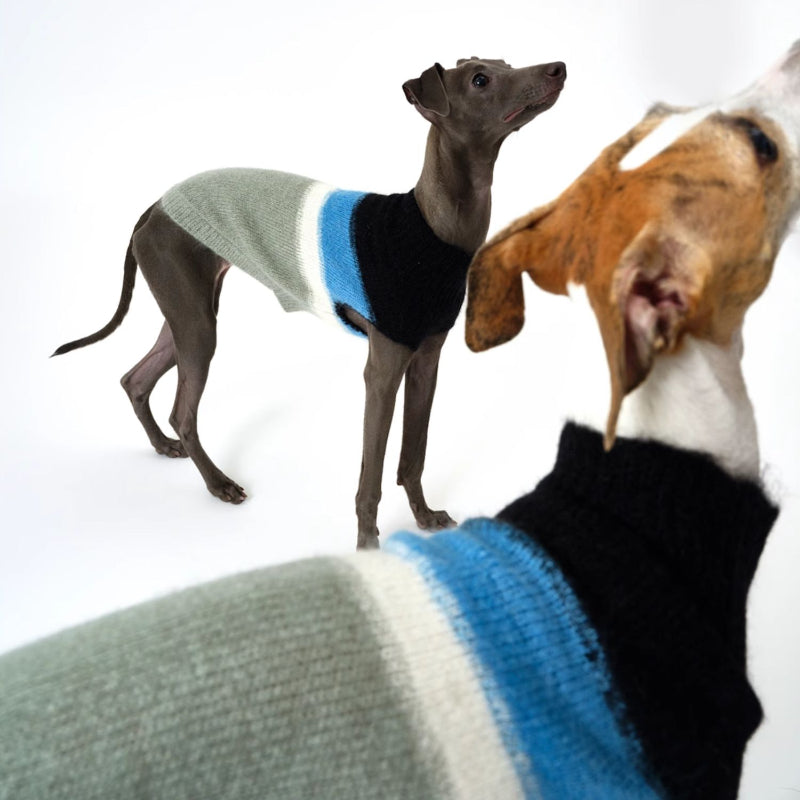 Nuoz® Gradient Color Sleeveless Knit Vest for Dogs – Mohair Wool Blend