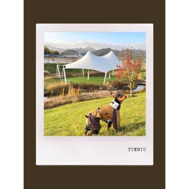 GASU® Waterproof Detachable Whippet Raincoat - KIKOPALS