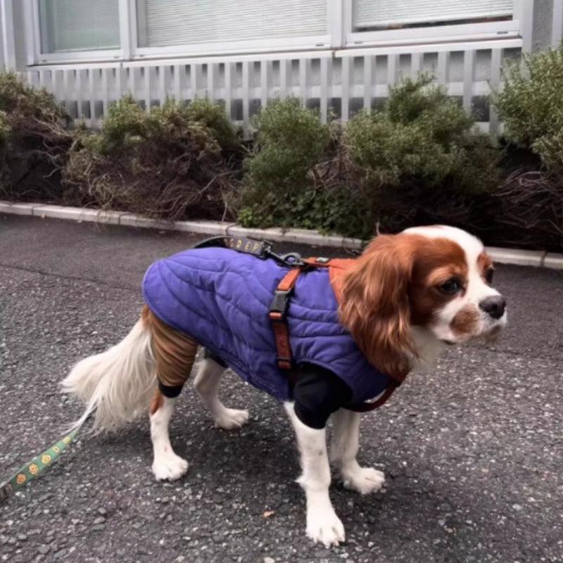 BBPRODUCTION® Galaxy Dog Winter Coat - KIKOPALS