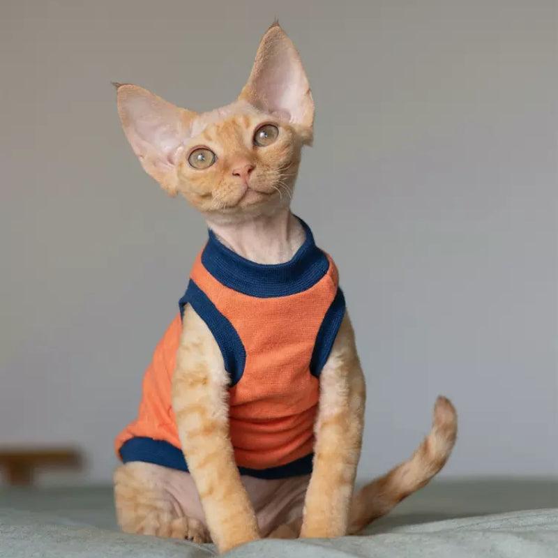 GINGERAIN® Blue & Orange Striped Cat Vest - KIKOPALS