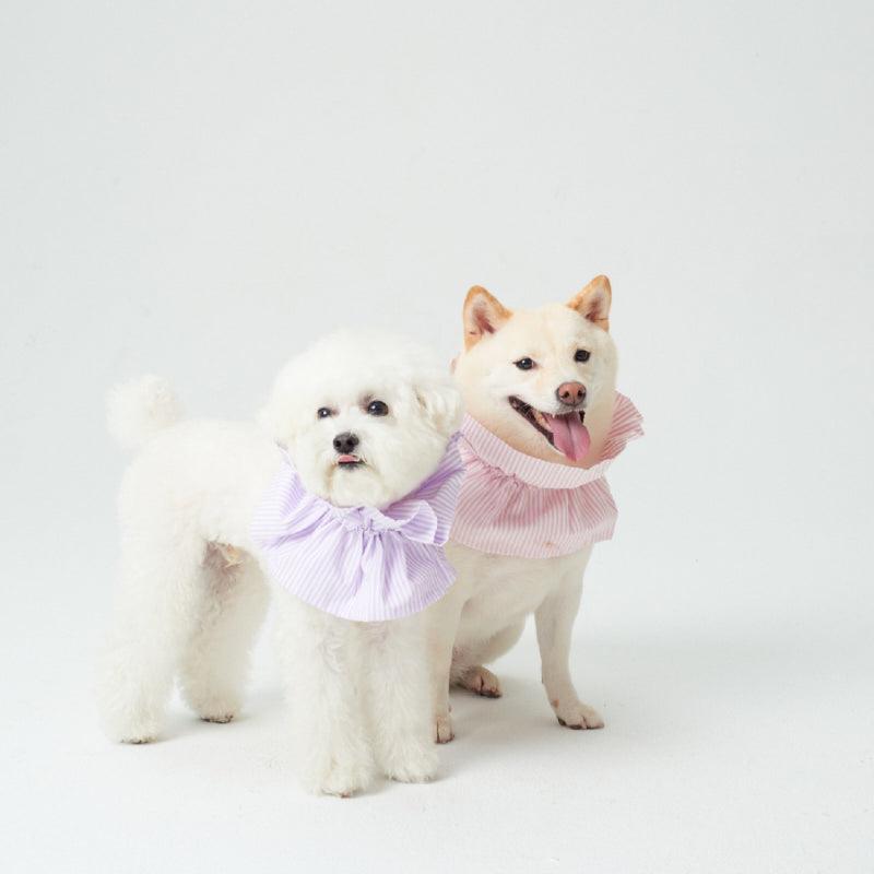 LazyEazy® Anti-Flea Elizabeth Pet Collar - KIKOPALS