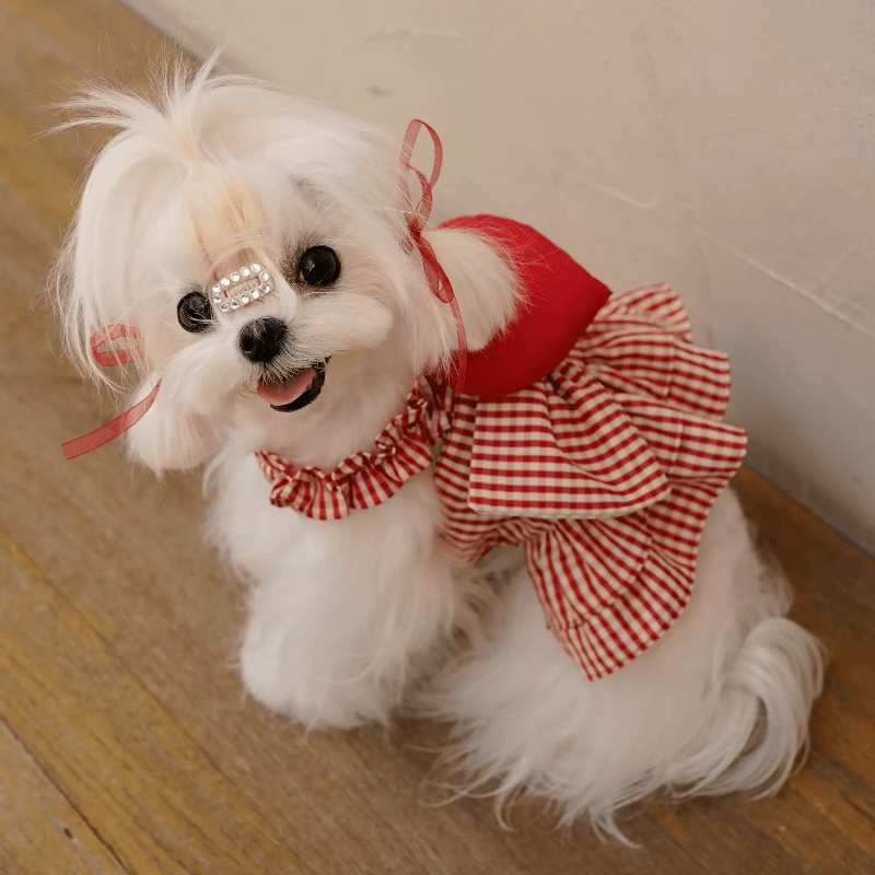 BOWWW® "Love" Red Plaid Pet Skirt - KIKOPALS