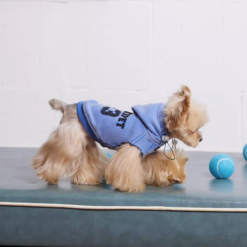 MookiPet® Washed Blue College Hoodie for Dogs