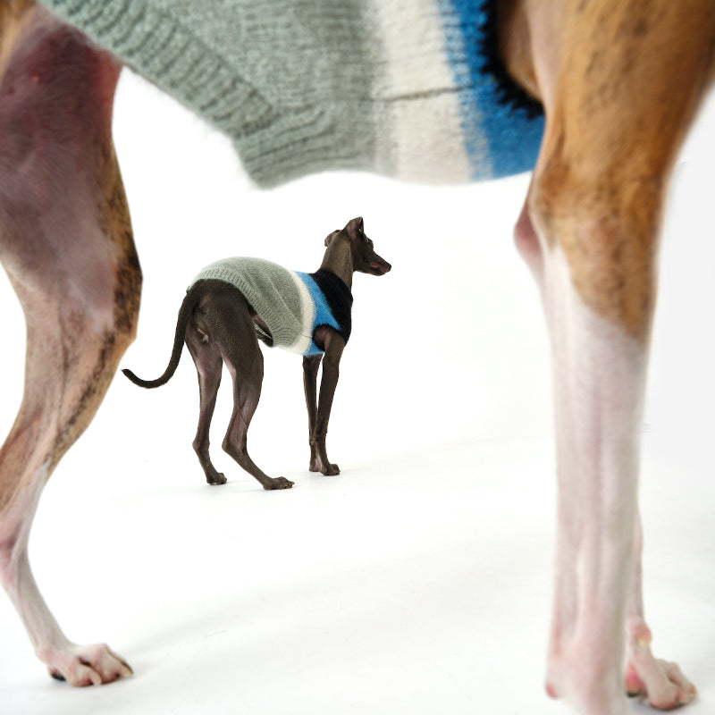 Nuoz® Gradient Color Sleeveless Knit Vest for Dogs – Mohair Wool Blend