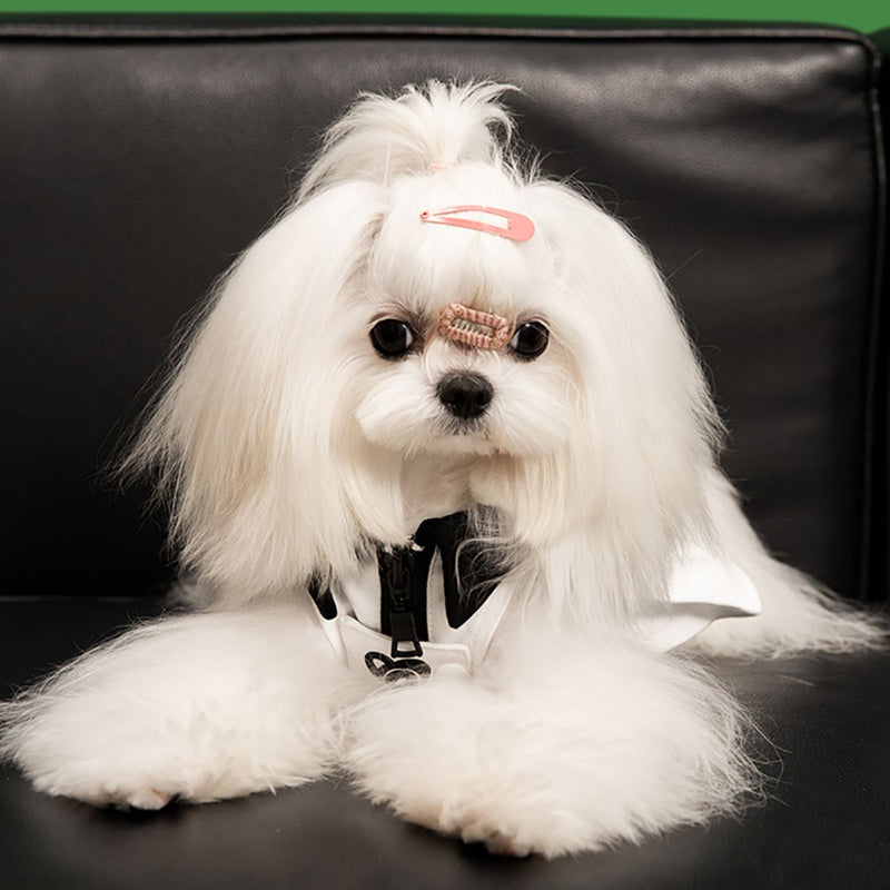 UNIPETISM® Sweet & Cool Ruffled Polo Dress for Dogs & Cats