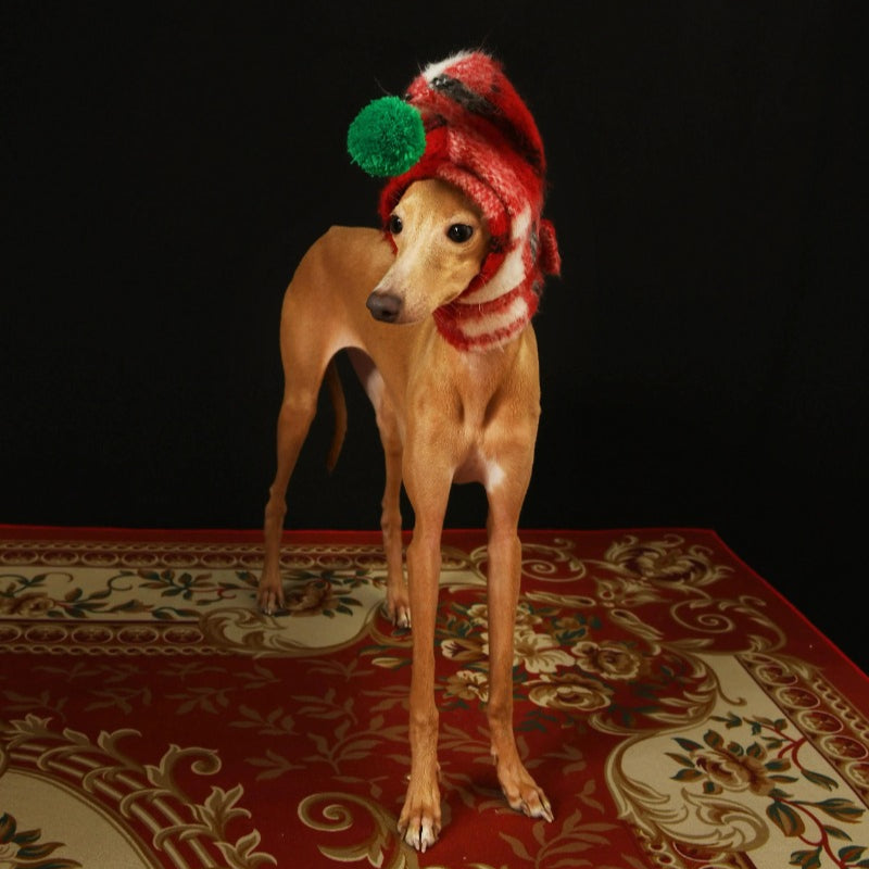 iiNeed® Adorable Red Plaid Hat With Pom-Pom for Dogs