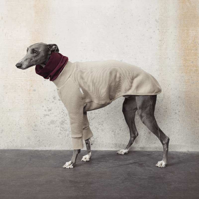 GASU® Thick Fleece Dog Cowl Neck Two-Legged Shirt - KIKOPALS