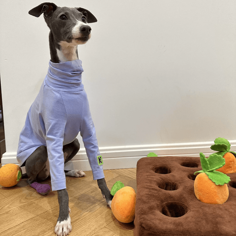 A HUNTING DOG® Dog fitted T-shirt - KIKOPALS