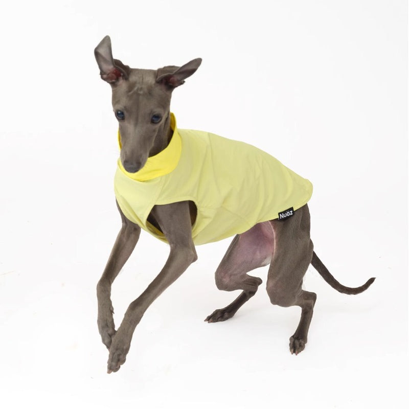 Nuoz® Pet Cooling Base Layer with Color Block Design for Dogs