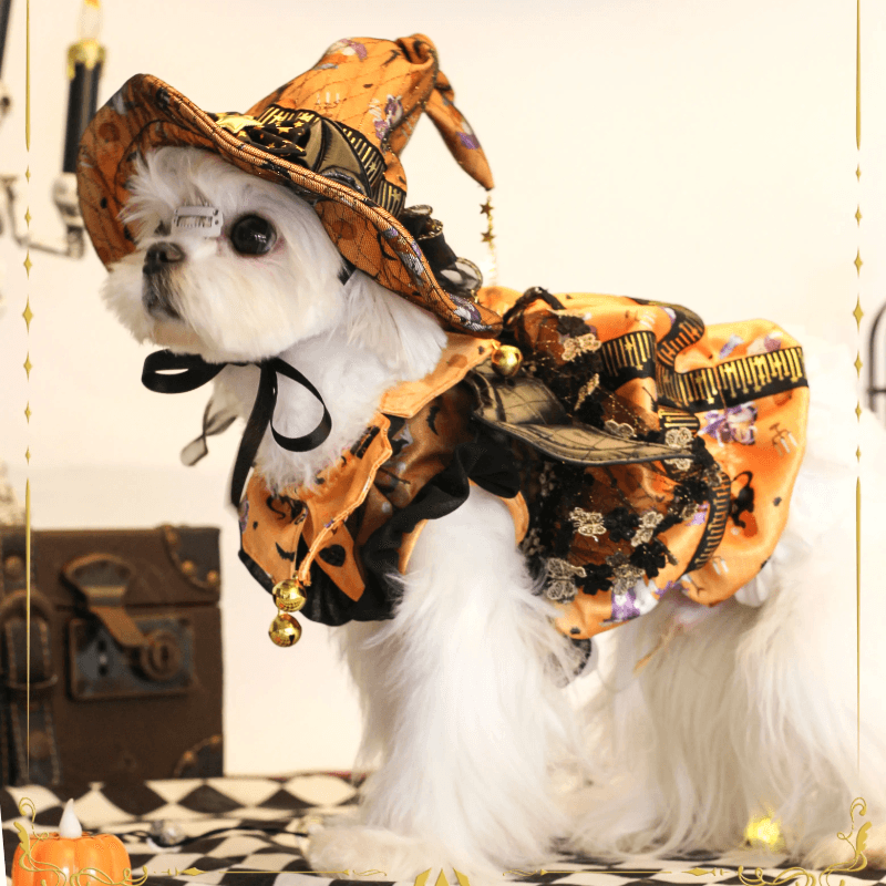 BITEONE® Pumpkin Princess Pet Dress/Witch Hat for Halloween - KIKOPALS