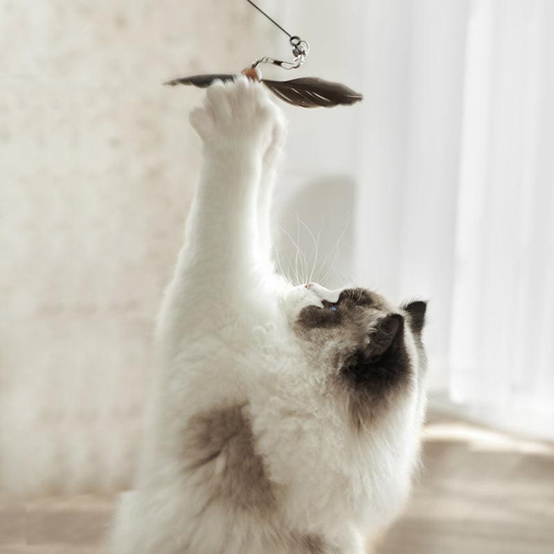 KITTY YOYO® Tisiyi Teasing Cat Stick - KIKOPALS