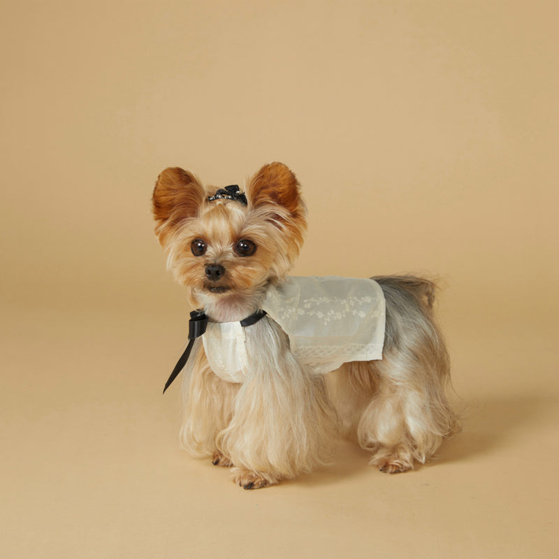 KIYOTT®  Vine Lady Simple Princess Dress for Dogs