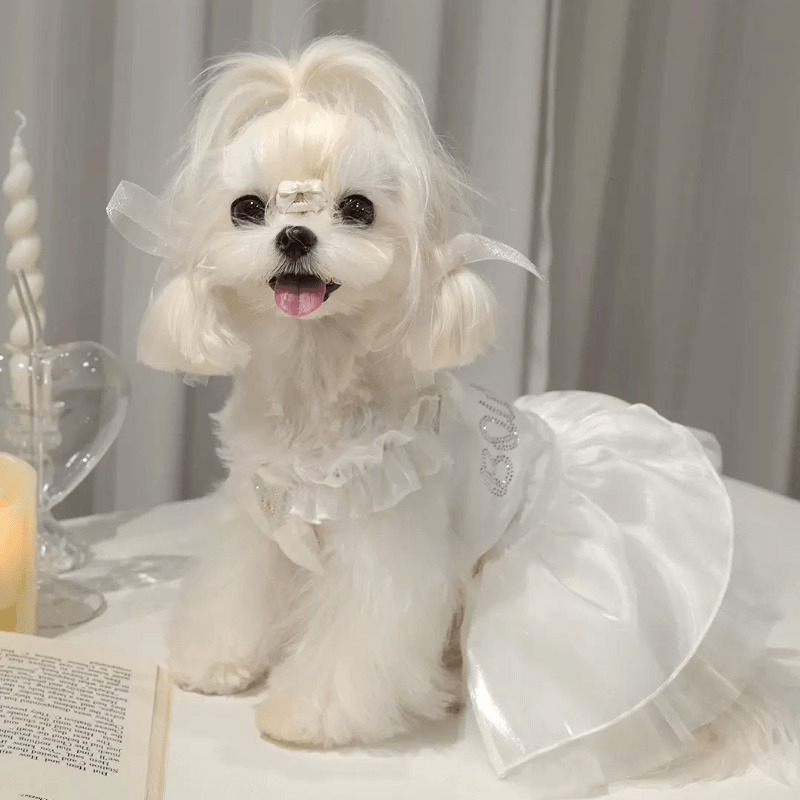 BOWWW® Pet Rhinestone Ballet Princess Dress - KIKOPALS