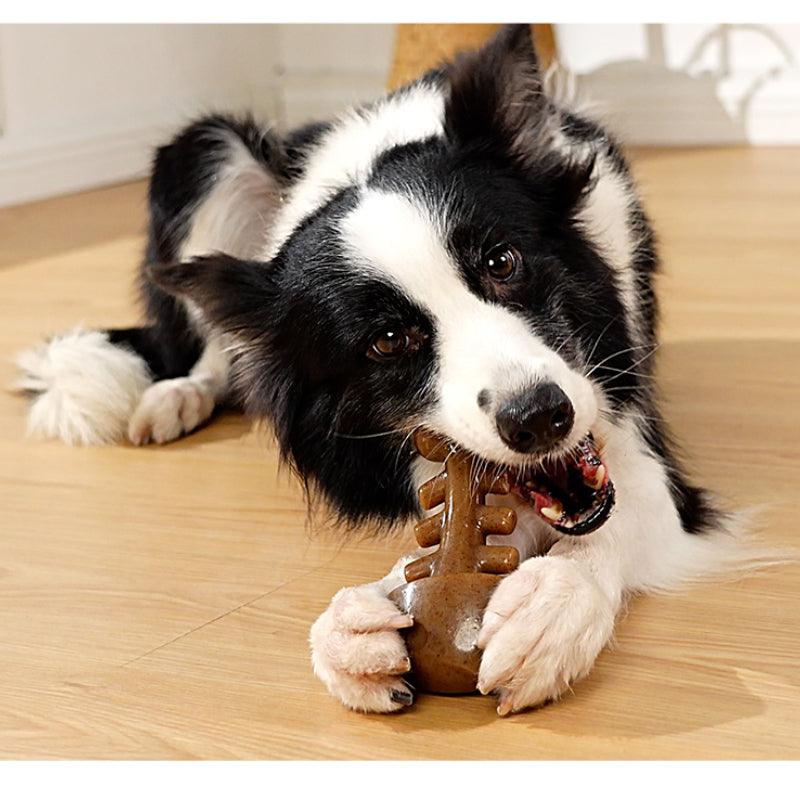 MoovaLab® Fish Bone Dog Chew Toy - KIKOPALS