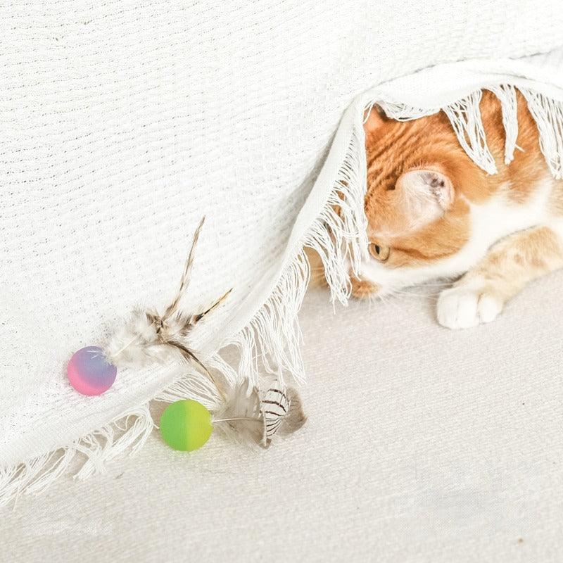 MEOWCARD® Cat Interactive Play Toy - KIKOPALS