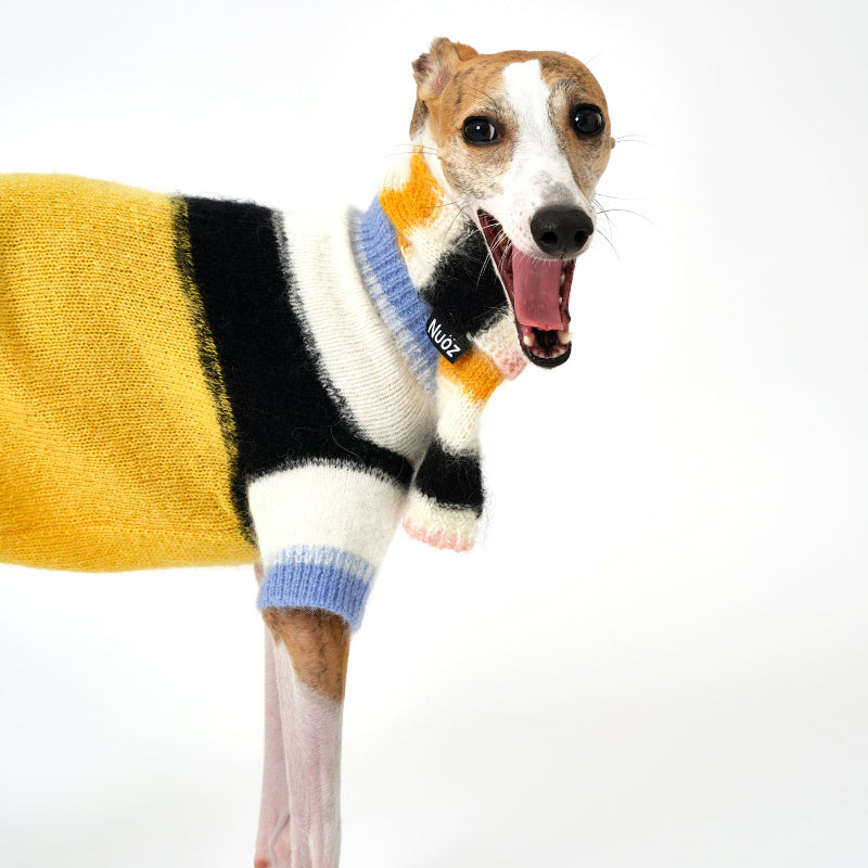 Nuoz® Gradient Color Block Sleeveless Knit Vest for Dogs