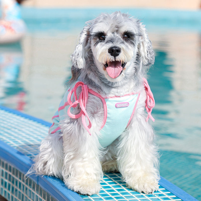 MookiPet® Breathable Mesh Vest for Dogs