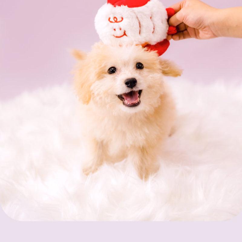 PETSVILLE® Paisweilong Year Box Gas Fortune Gift Box - KIKOPALS