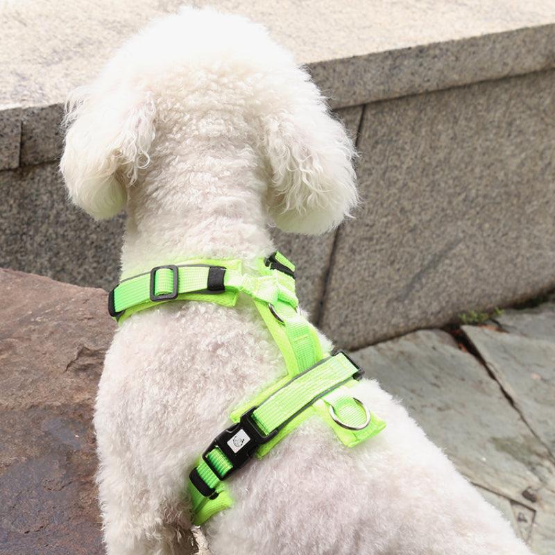 KIKOPALS® Adjustable No-Pull Y-Shape Dog Harness - KIKOPALS