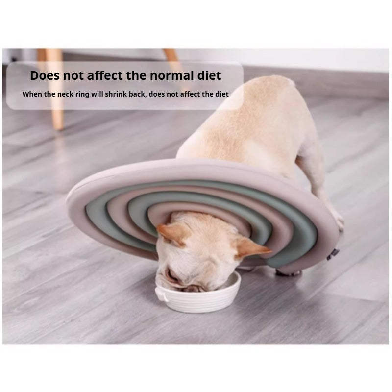 doglemi® Dog Elizabethan Collar