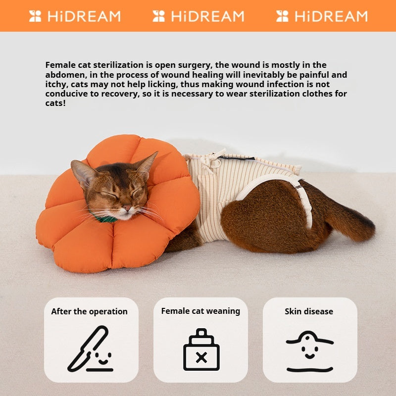 HiDREAM® Cat Recovery Suit