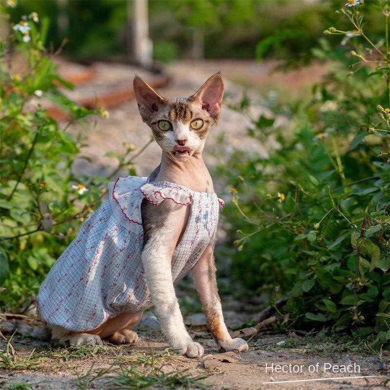 GINGERAIN® Cotton Lace Cat Dress - KIKOPALS