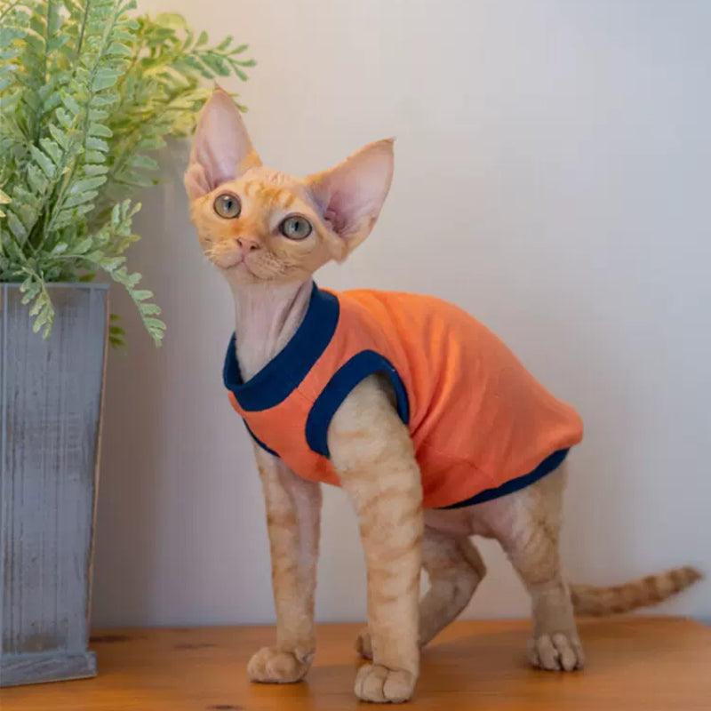 GINGERAIN® Blue & Orange Striped Cat Vest - KIKOPALS