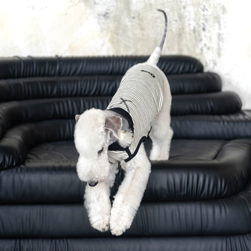 egge® Striped Tank Top for Dogs