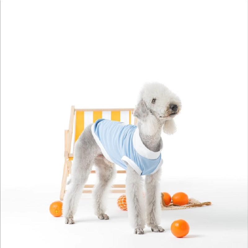 PUFFYCLOUD® Sportswear Casual Suit - KIKOPALS