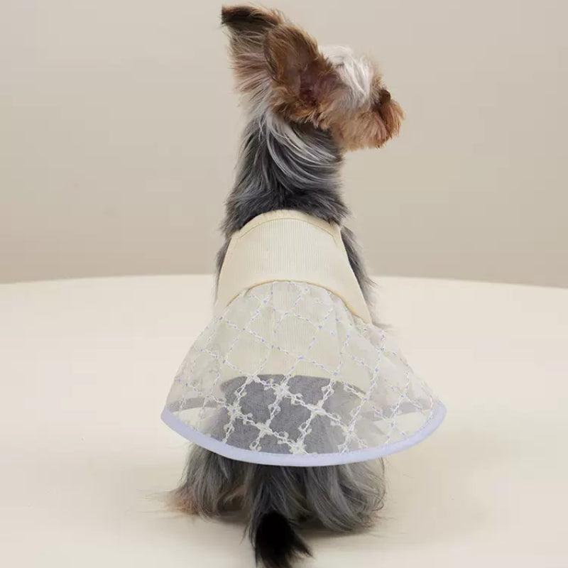 Dottylab® Pet Lace Small Suspender Skirt - KIKOPALS