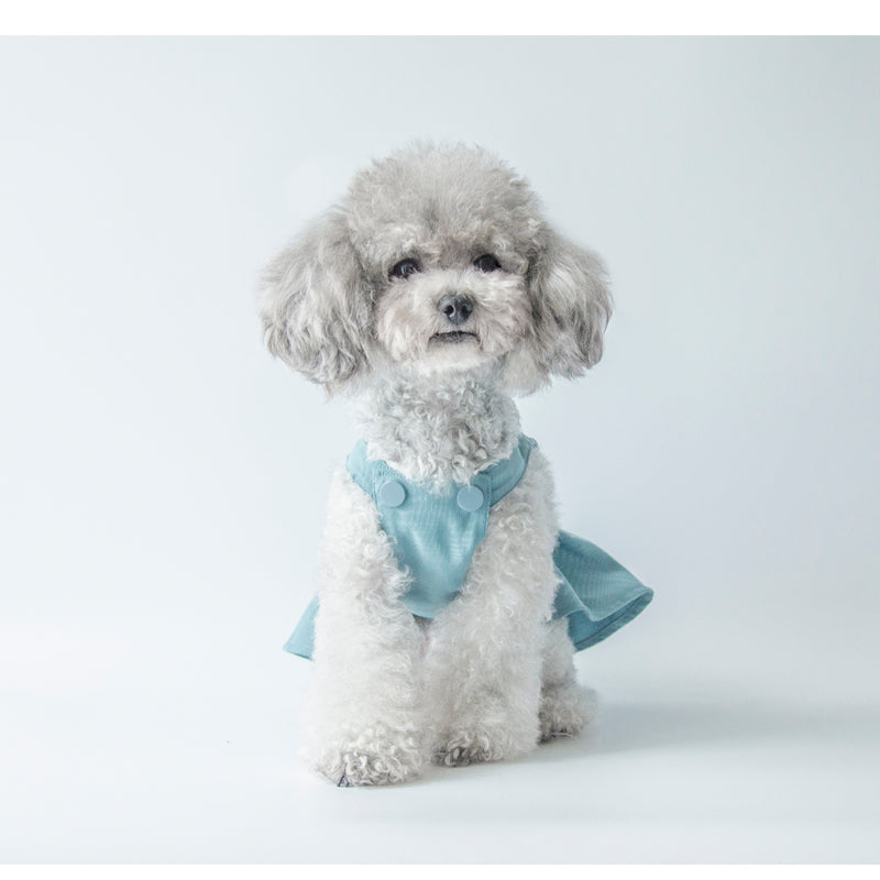 MARSHMALLOW® Cloud Pattern Silk Dress for Dogs