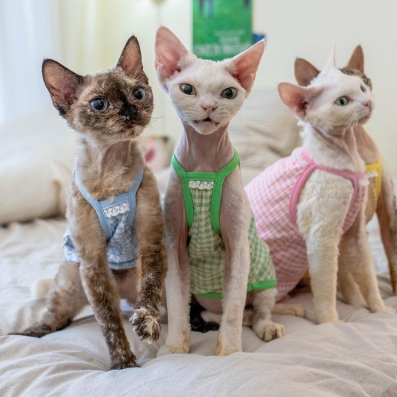 GINGERAIN® Candy Color Cat Vest - KIKOPALS