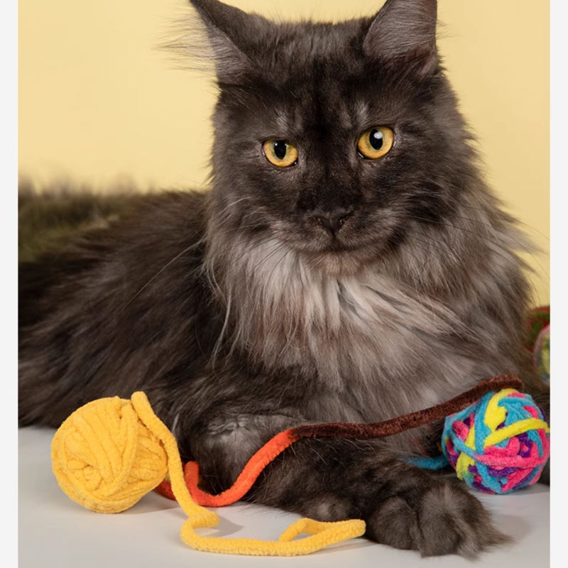 HiDREAM® Cat Toy Ball