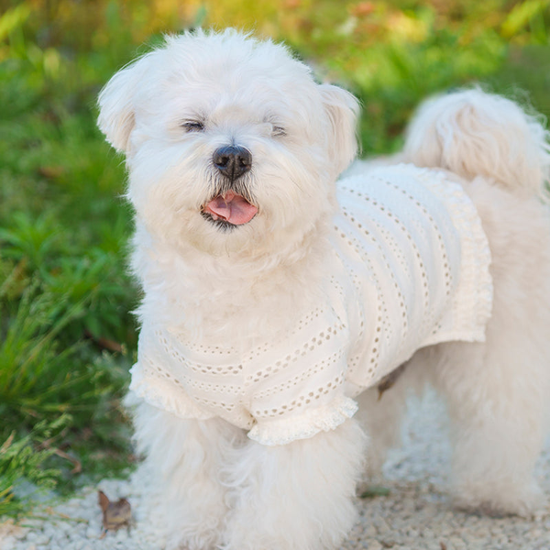 MARSHMALLOW® Breathable Lace T-Shirt for Dogs – Summer Cool Wear