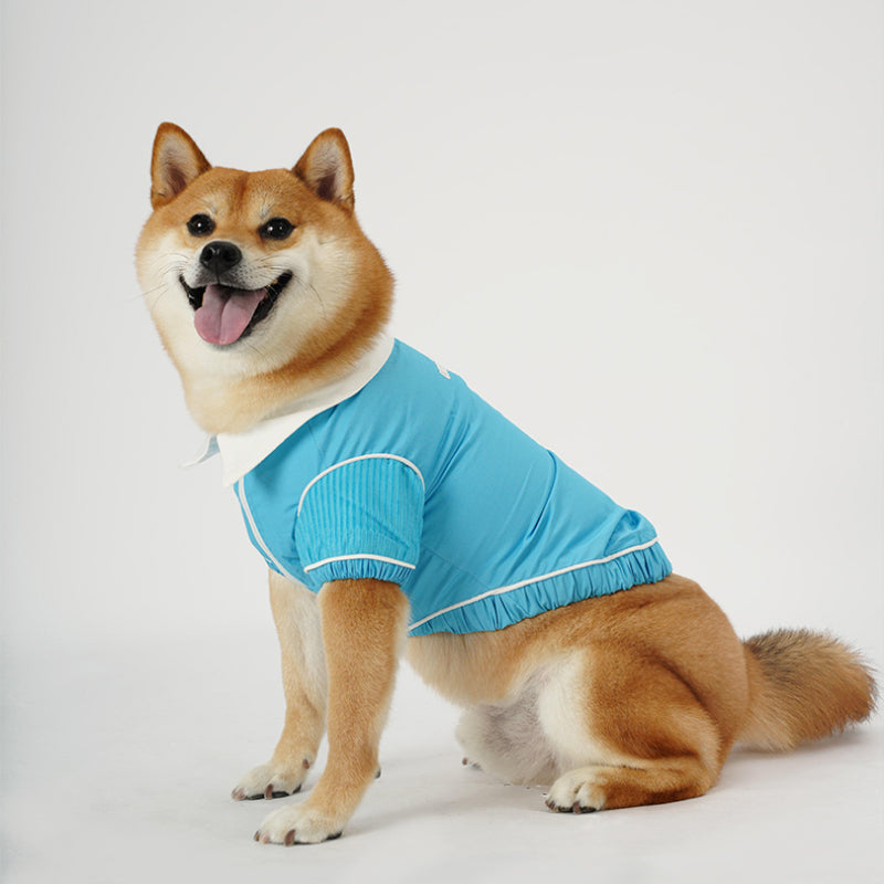 UNIPETISM® Teal Windbreaker for Dogs & Cats